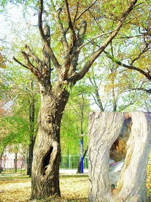江西九江風(fēng)景樹成了垃圾桶 江西九江風(fēng)景樹成了垃圾桶